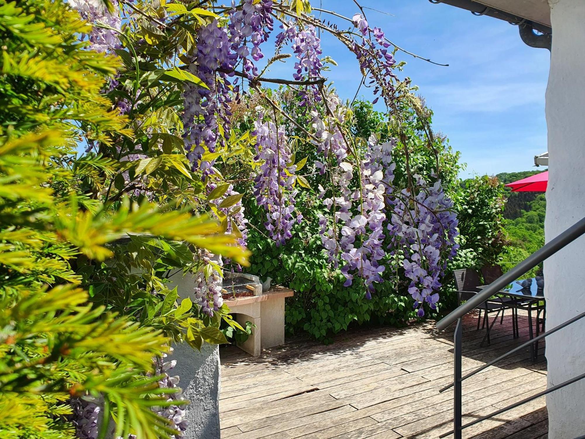 La Maison Du Sabotier Appartement Custinne